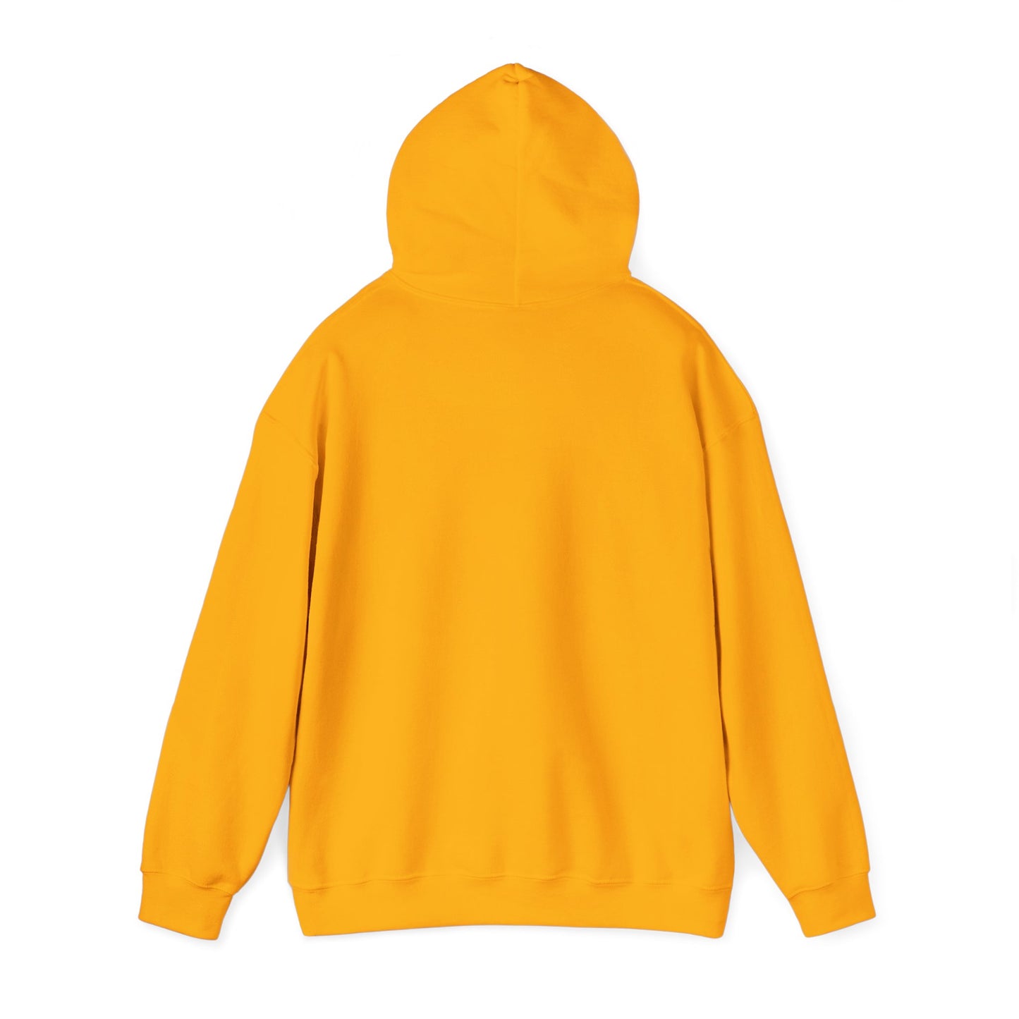 Ethan's Adventures Hoodie - Unisex Sweatshirt